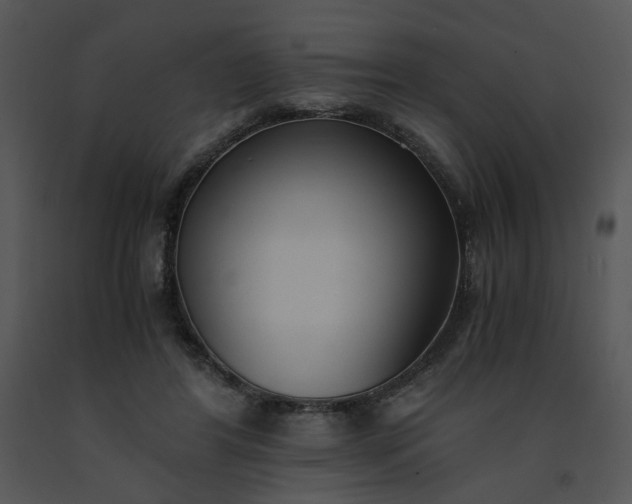 X0000091520404200708311253