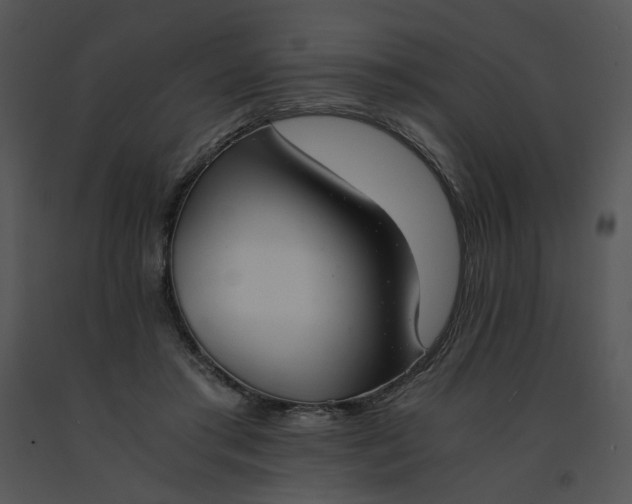 X0000091520405200708311253