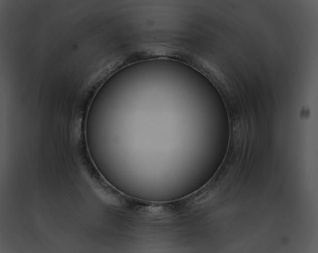 X0000091520406200708311253