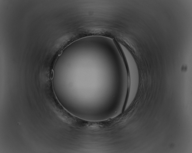 X0000091520407200708311253