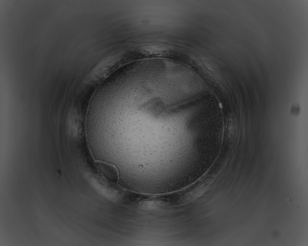 X0000091520408200708311253