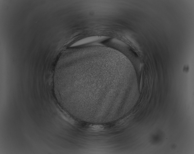 X0000091520409200708311253