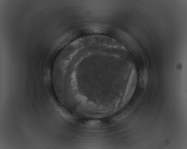 X0000091520410200708311253