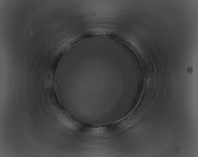 X0000091520411200708311253