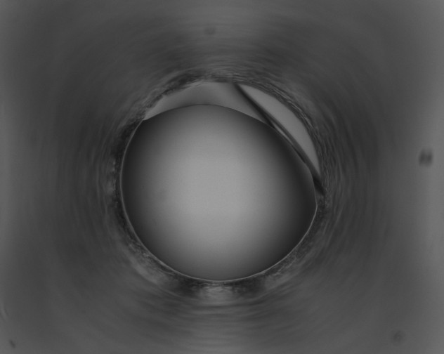 X0000091520413200708311253