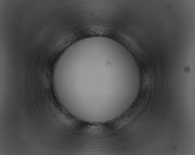 X0000091520414200708311253