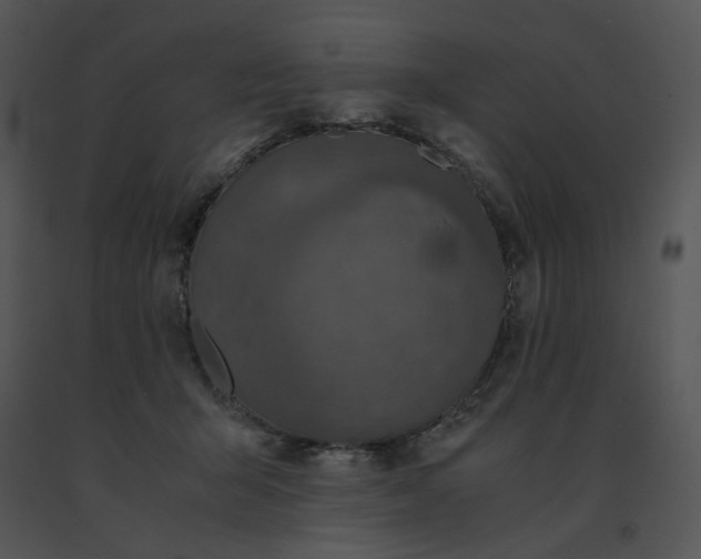 X0000091520415200708311253