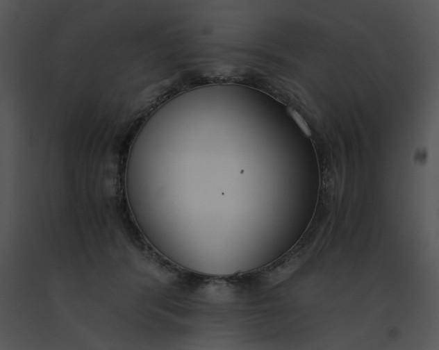 X0000091520416200708311253