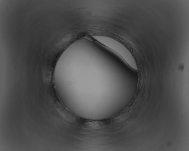 X0000091520417200708311253