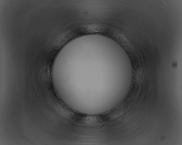 X0000091520418200708311253