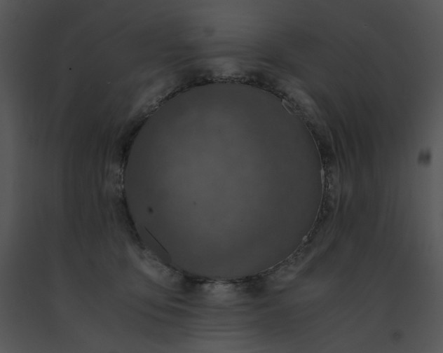 X0000091520419200708311253