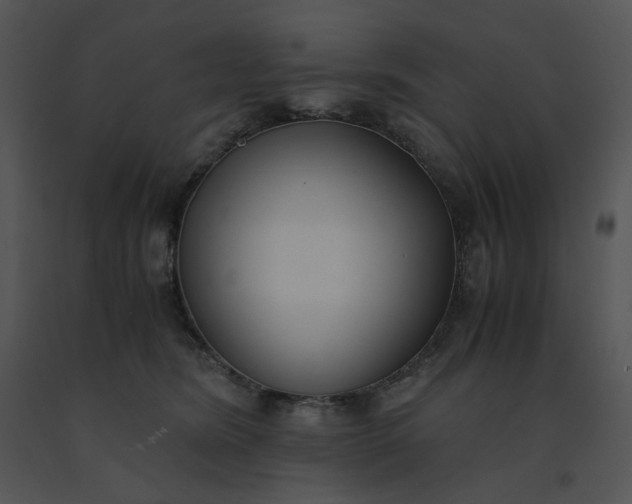 X0000091520420200708311253