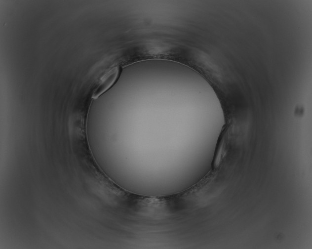 X0000091520421200708311253