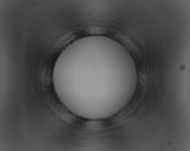 X0000091520422200708311253