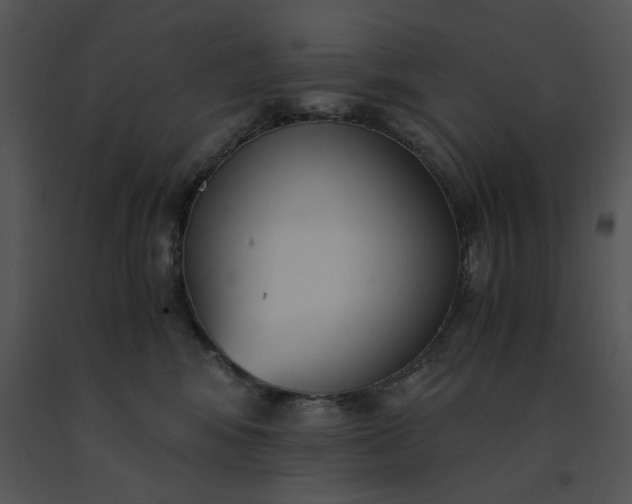 X0000091520424200708311253