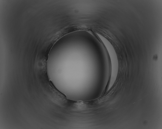 X0000091520425200708311253