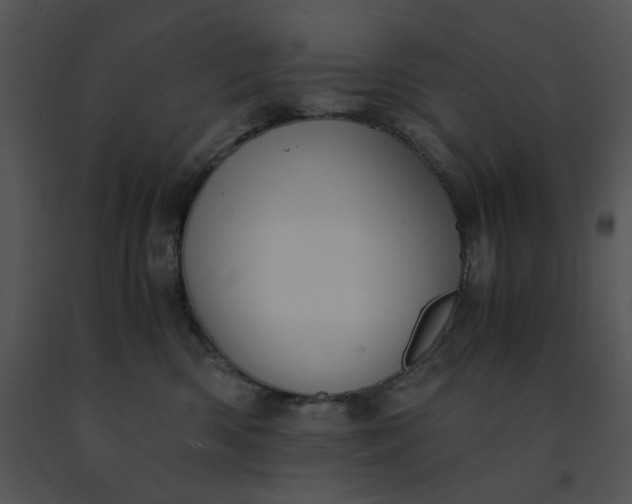 X0000091520426200708311253