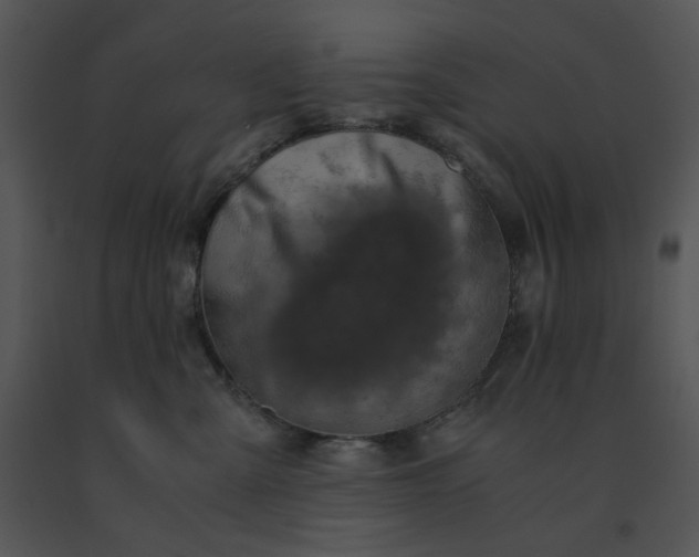 X0000091520427200708311253