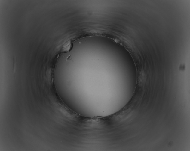 X0000091520428200708311253