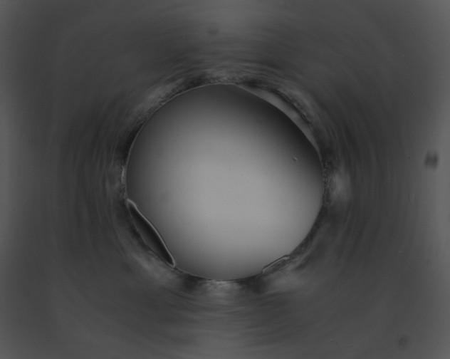 X0000091520429200708311253