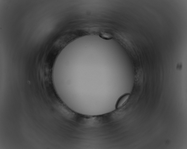 X0000091520430200708311253