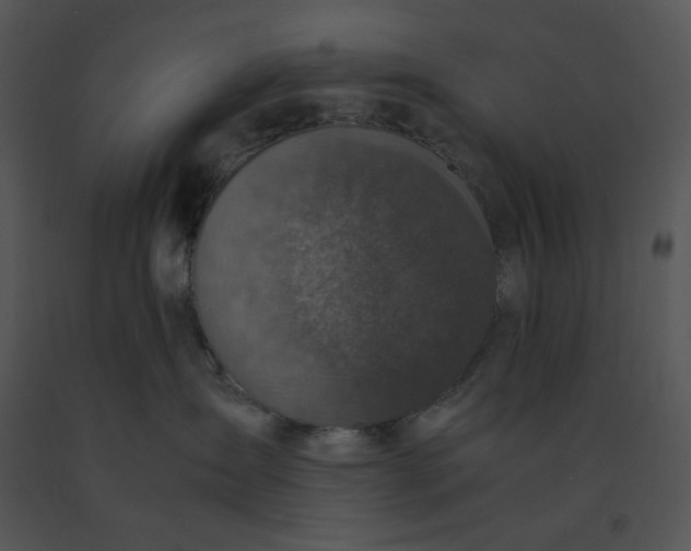 X0000091520431200708311253