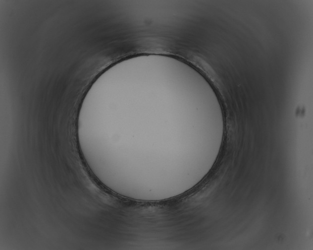 X0000091520433200708311252