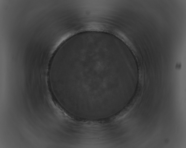 X0000091520434200708311252