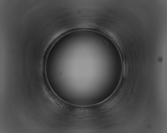 X0000091520435200708311252