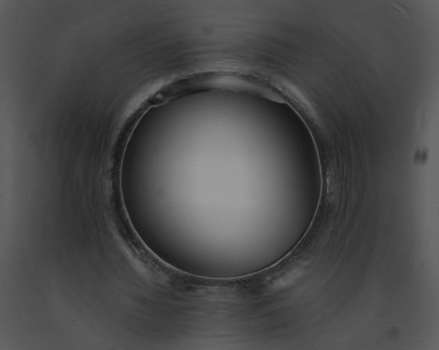 X0000091520436200708311252