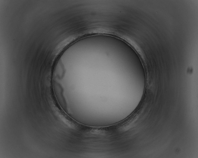 X0000091520437200708311252