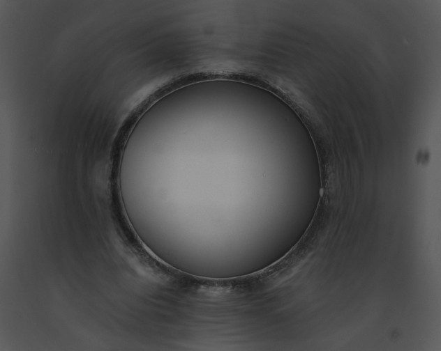 X0000091520440200708311252