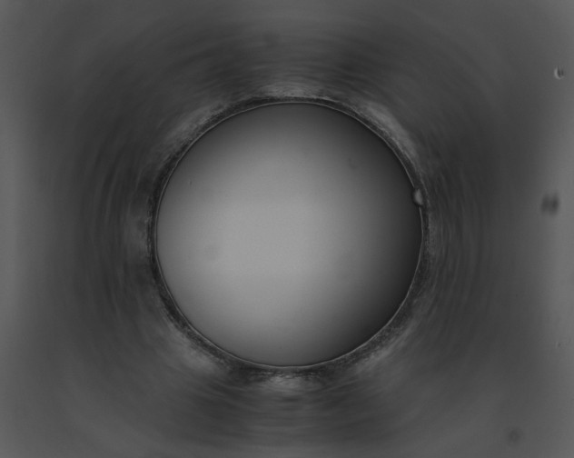 X0000091520441200708311252