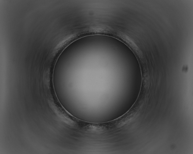 X0000091520442200708311252