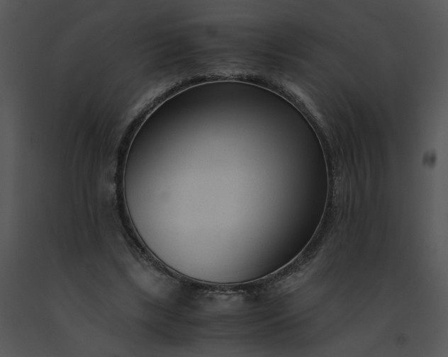 X0000091520443200708311252