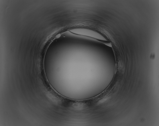 X0000091520444200708311252