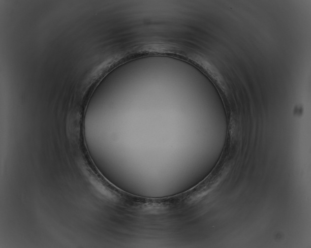 X0000091520445200708311252