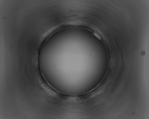 X0000091520446200708311252