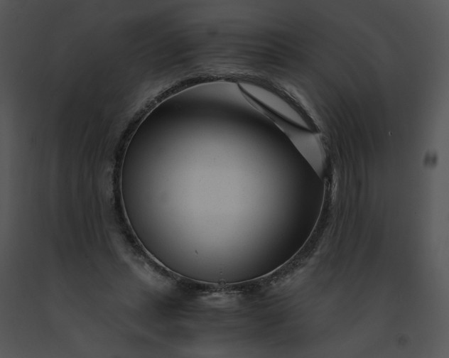 X0000091520447200708311252