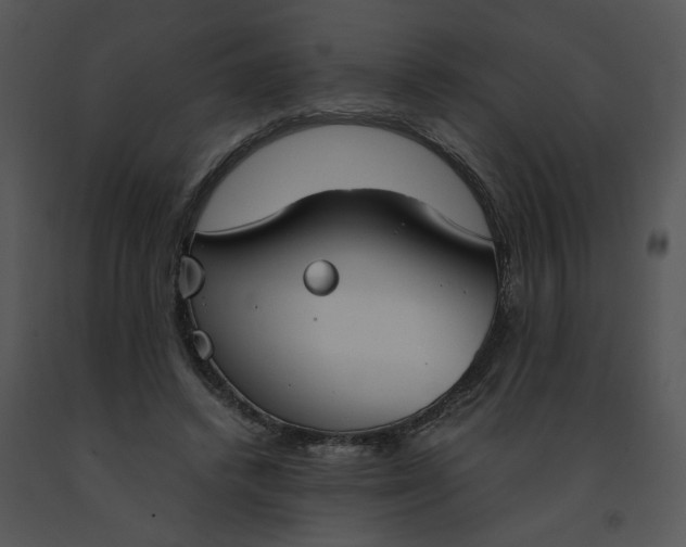 X0000091520448200708311252