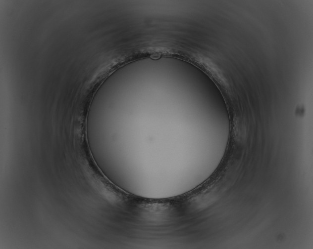 X0000091520449200708311252