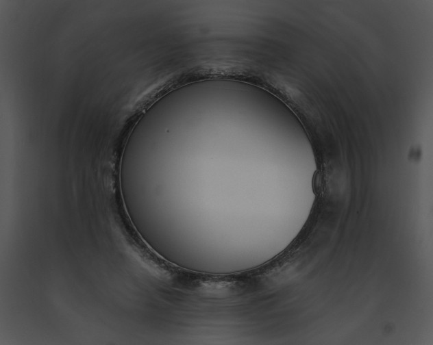 X0000091520450200708311252