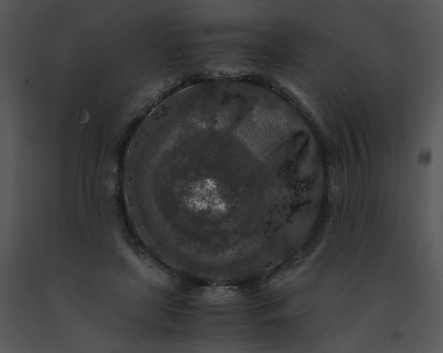 X0000091520451200708311252