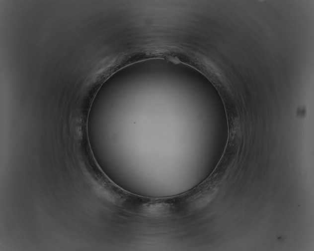 X0000091520452200708311252