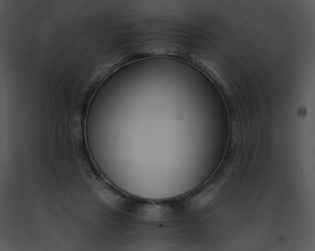 X0000091520453200708311252