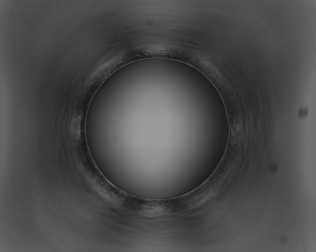 X0000091520454200708311252