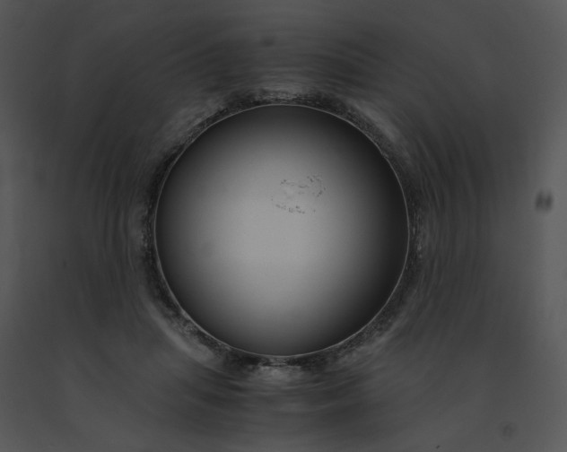 X0000091520455200708311252