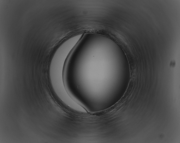 X0000091520456200708311252