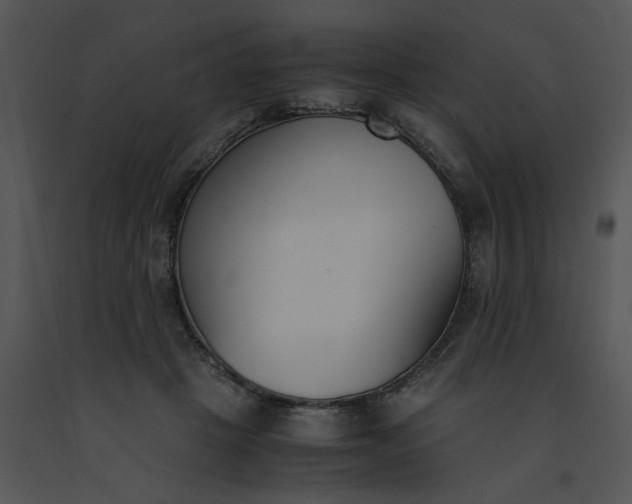 X0000091520457200708311252