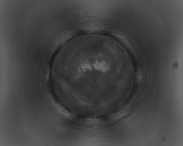 X0000091520458200708311252